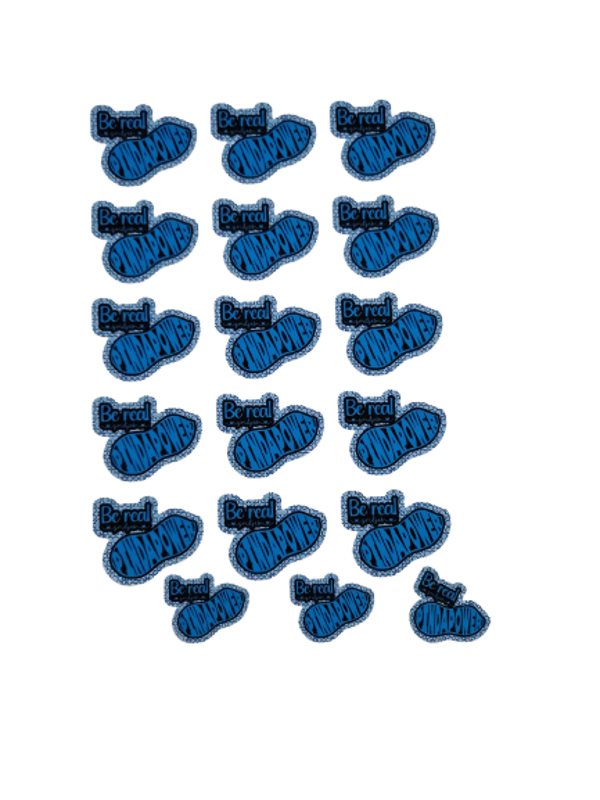 Magneet +/- 15 stuks 1 design