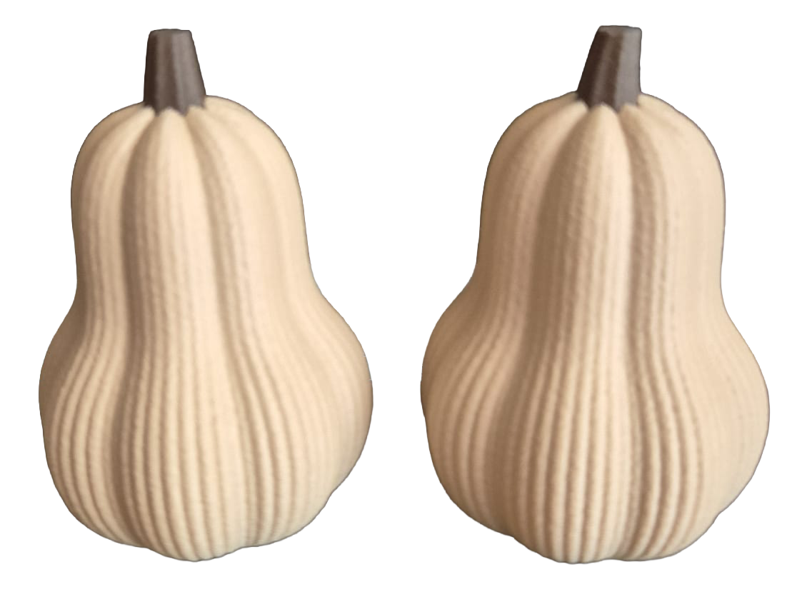 Japandi Style pompoen
