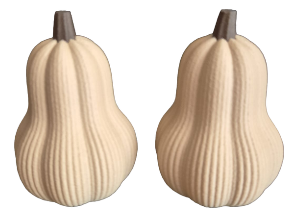 Japandi Style pompoen