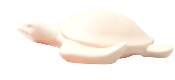 Dot schildpad 014