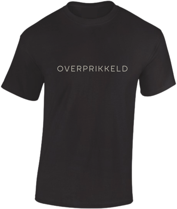 T-shirt 201 overprikkeld bereal gridjes