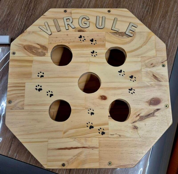 jeu d'intelligence pour chat