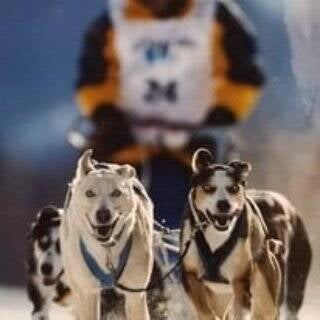 Sugar und Donna in Lead Alpentrail