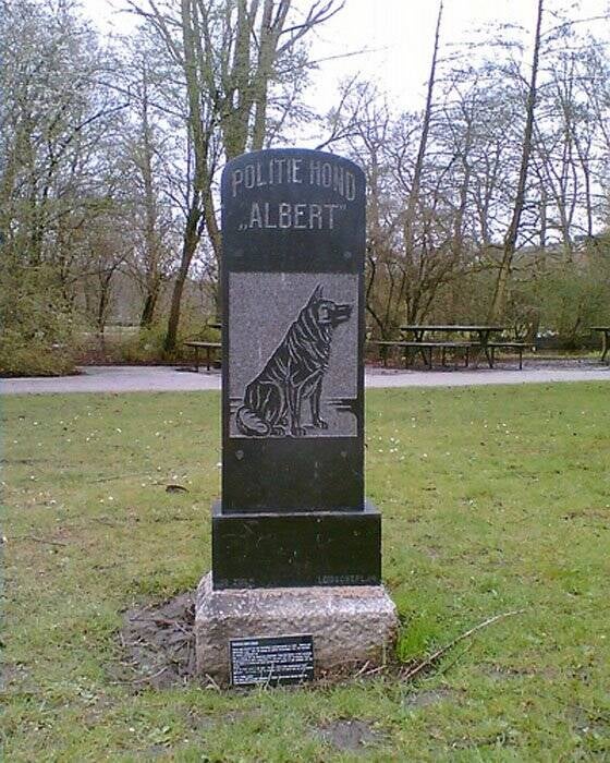 denkmla-albert