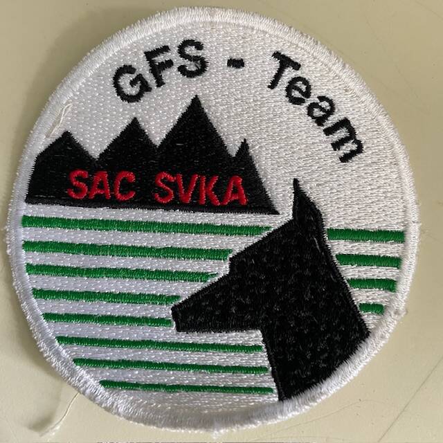 Abzeichen Gebirgsflächen Suche