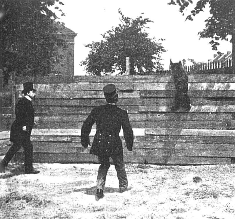 satan-cloison-malines