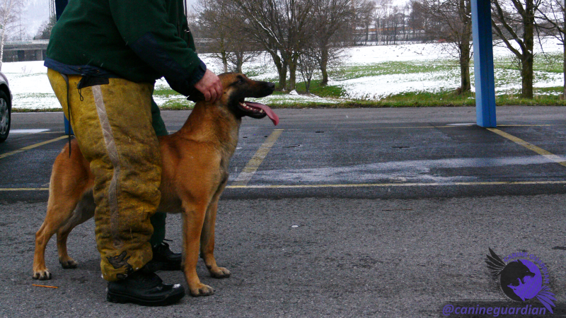 skipy-hazel-van-muizenbos-grandios