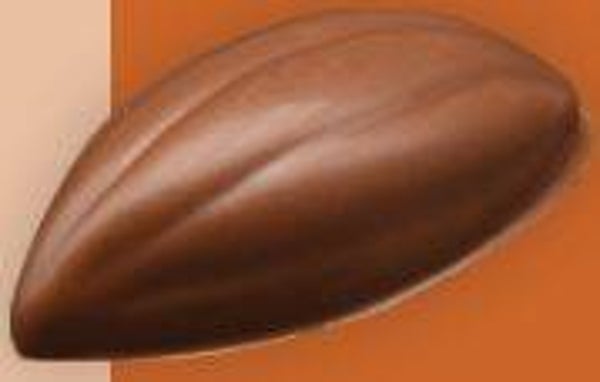 Cabosse lait