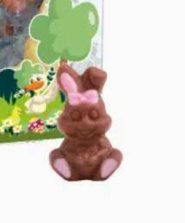 Lapin décoré par lot de 42x10gr