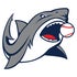 Florida BullSharks