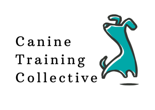 Canine Training Collective - Dog trainer in Phoenix