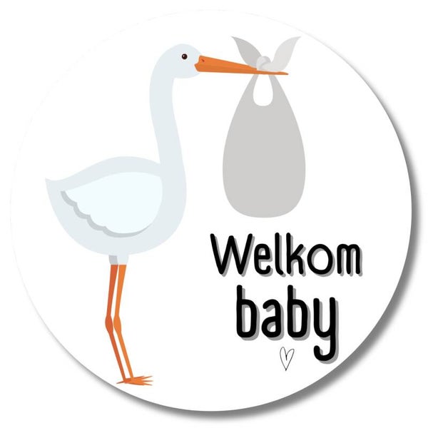 Stickers | Welkom Baby | 20 Stuks
