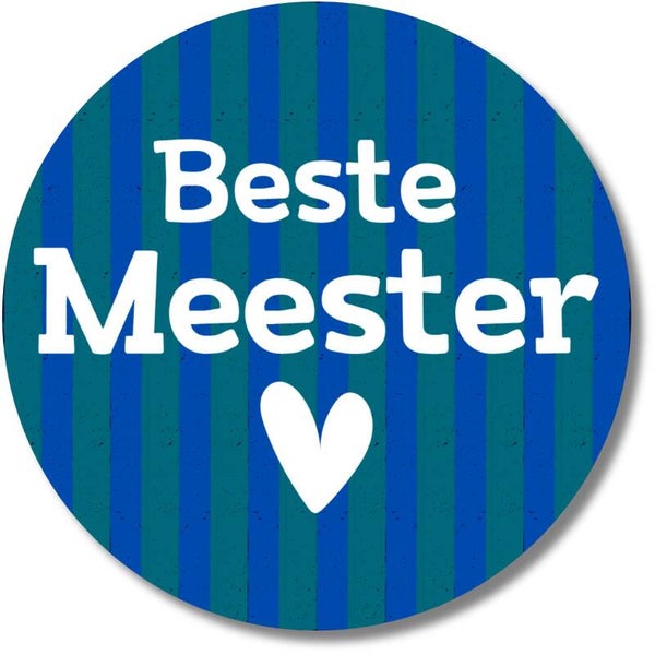 Stickervel Beste Meester – Bedankstickers schooljaar – 20 stuks – groen blauw design