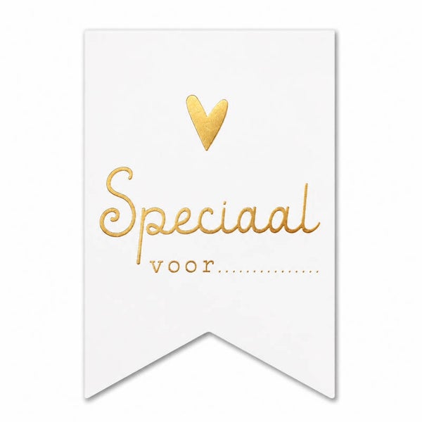 Cadeaustickers Speciaal Voor | Naam Zelf Schrijven | Roségoud Folie | 10 Stuks