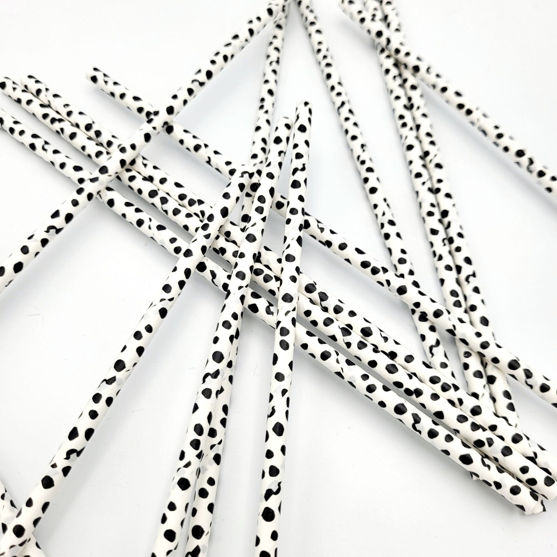 Stippen Feest Rietjes | Zwart Wit | 6 stuks