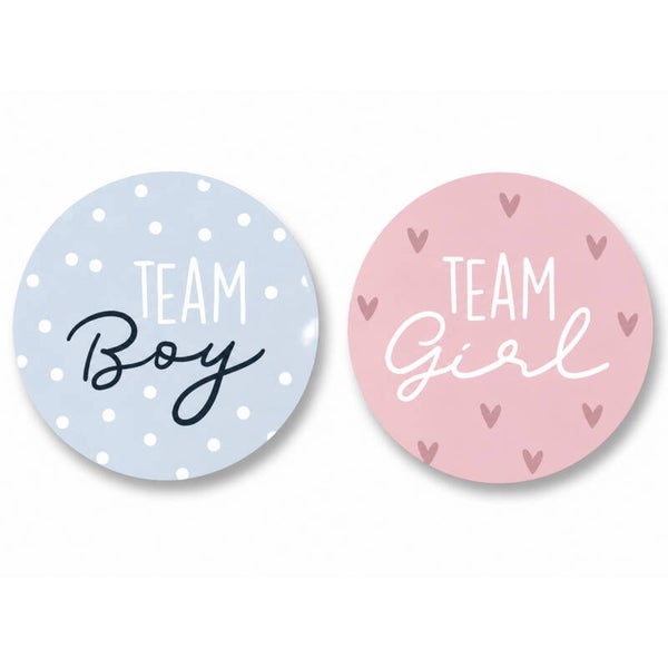 Gender Reveal Stickers | Team Boy Team Girl | 12 Stuks | 4 cm