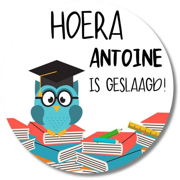 Geslaagd stickers met naam – Uil op boeken – 20 gepersonaliseerde diploma-stickers