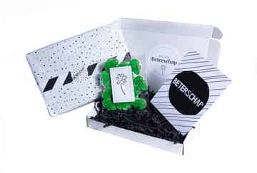 Brievenbuscadeau | Beterschap | Opkikker