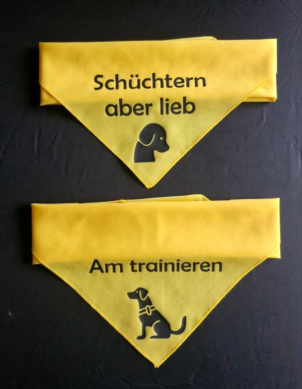 Hundehalstuch Gelb - Bitte Abstand