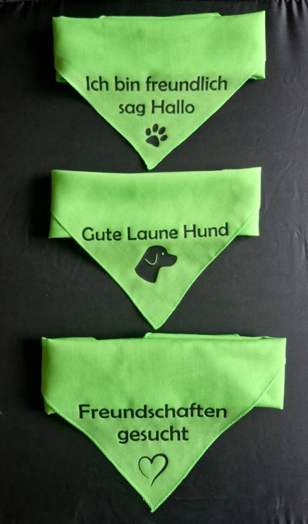 Hundehalstuch Grün - Kontakt erwünscht