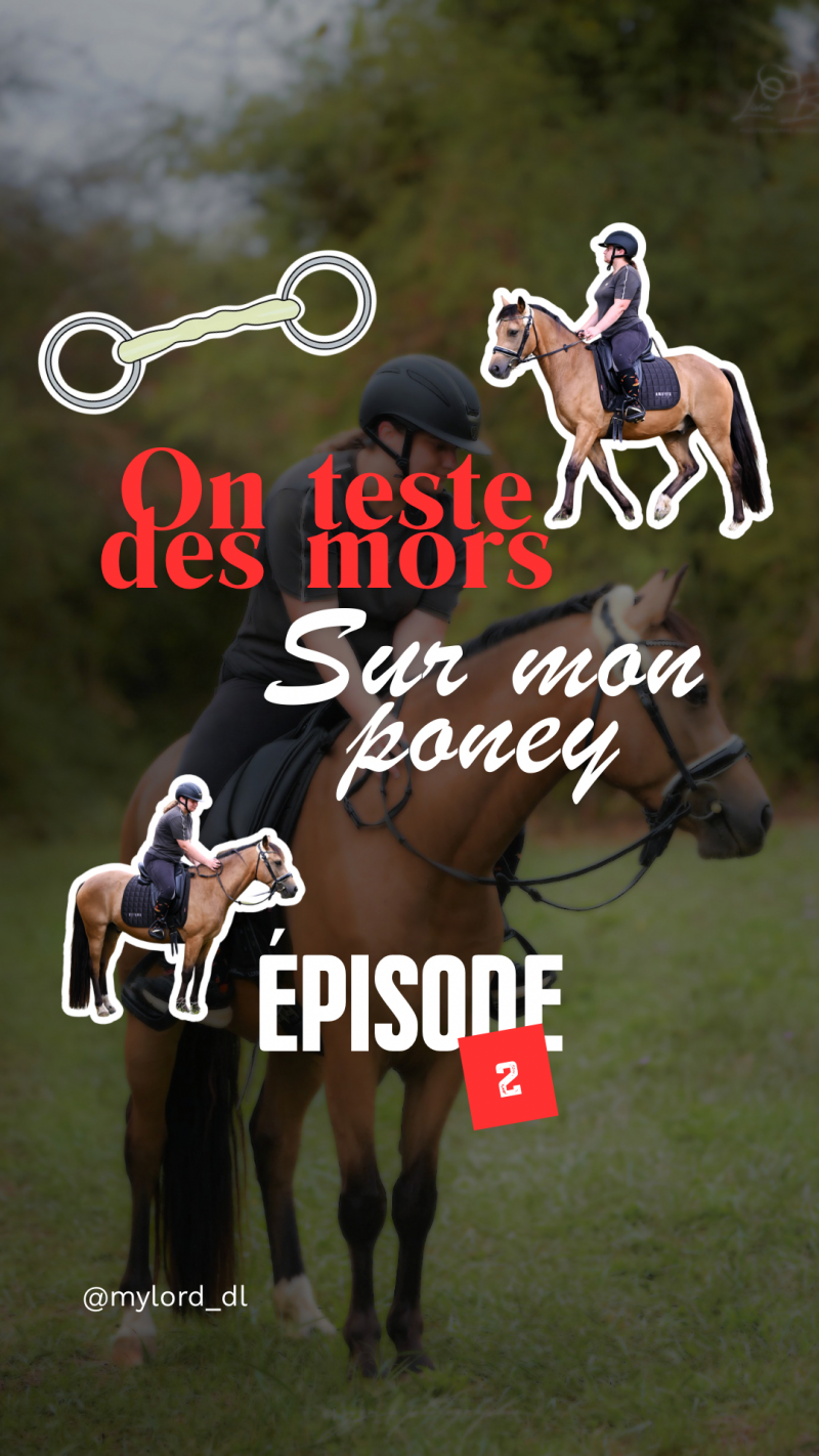 votre-story-septembre-chapitre-9-sur-12-minimaliste-monochrome-2-standard-iywl9t.png