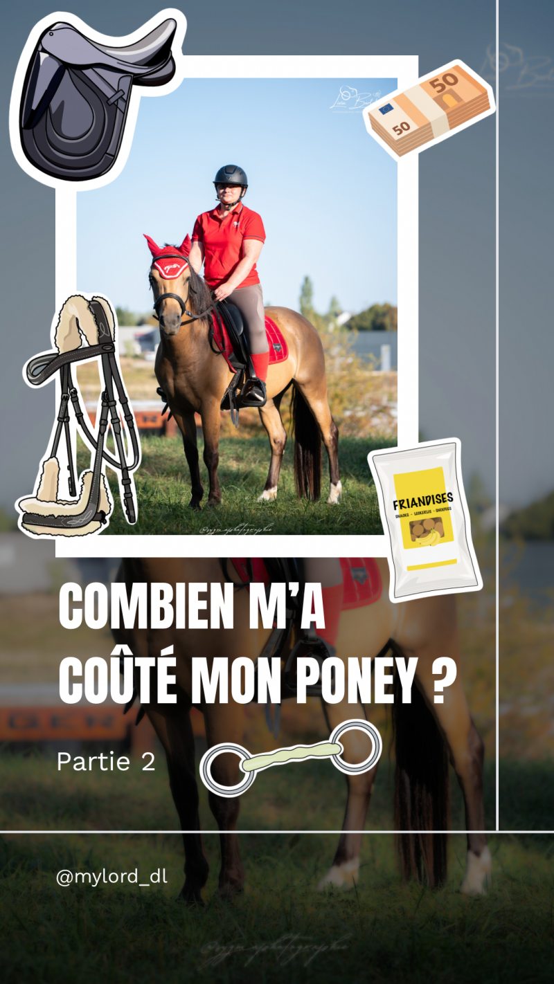 votre-story-septembre-chapitre-9-sur-12-minimaliste-monochrome-7-standard.png