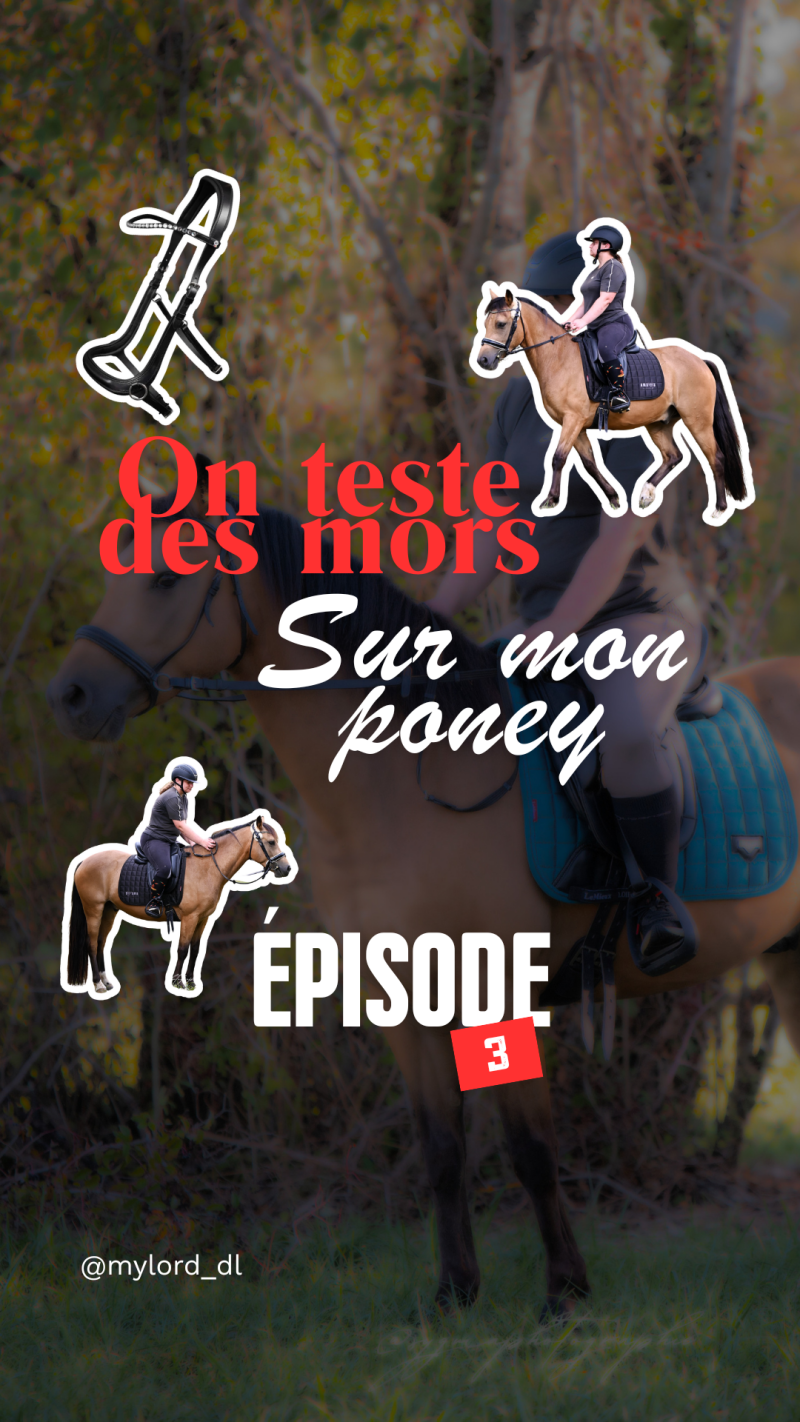 votre-story-septembre-chapitre-9-sur-12-minimaliste-monochrome-standard-d0rf1s.png