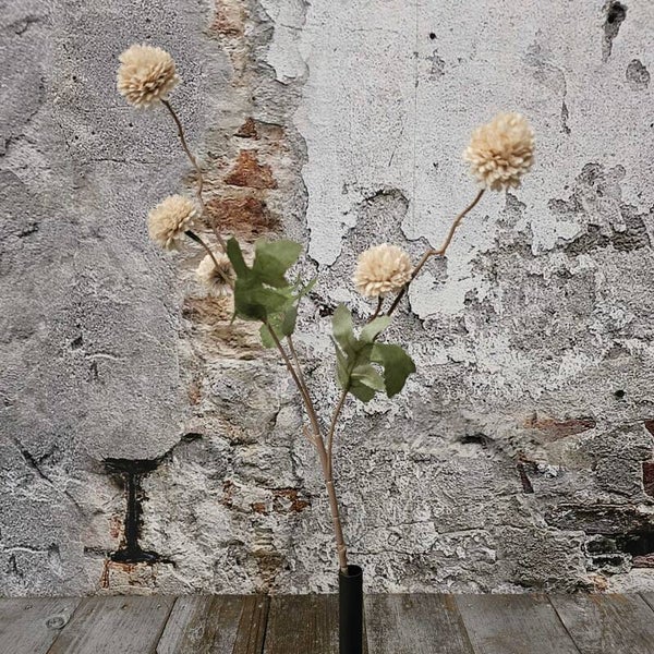 Zijden bloem Allium