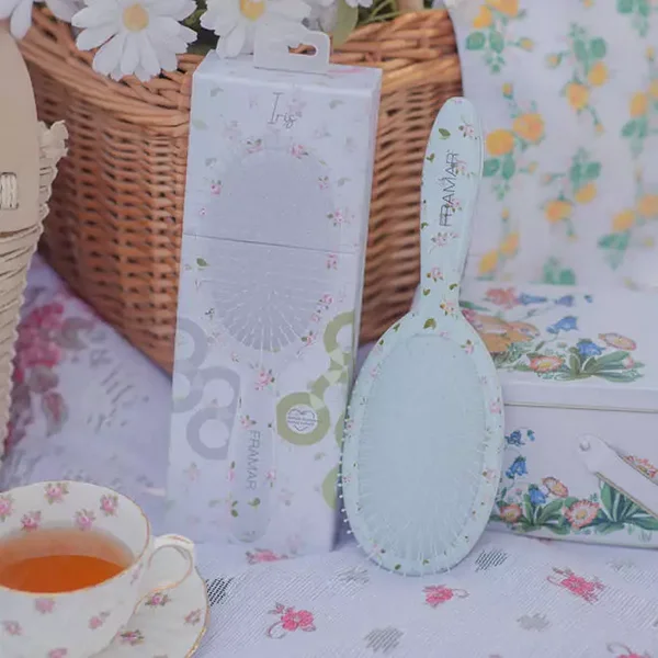 Elegante Prinsessen haarborstel