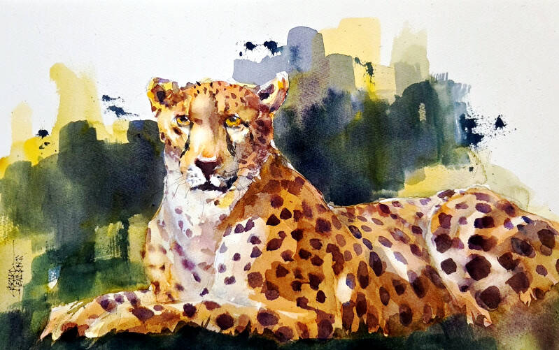 9129a-38x56-cheetah-standard.jpg