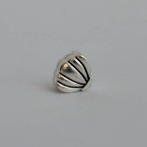 Strand schelp