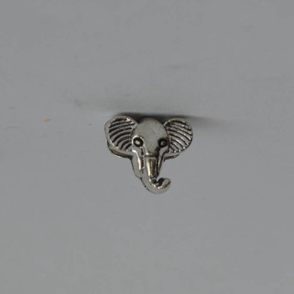 Dier olifant