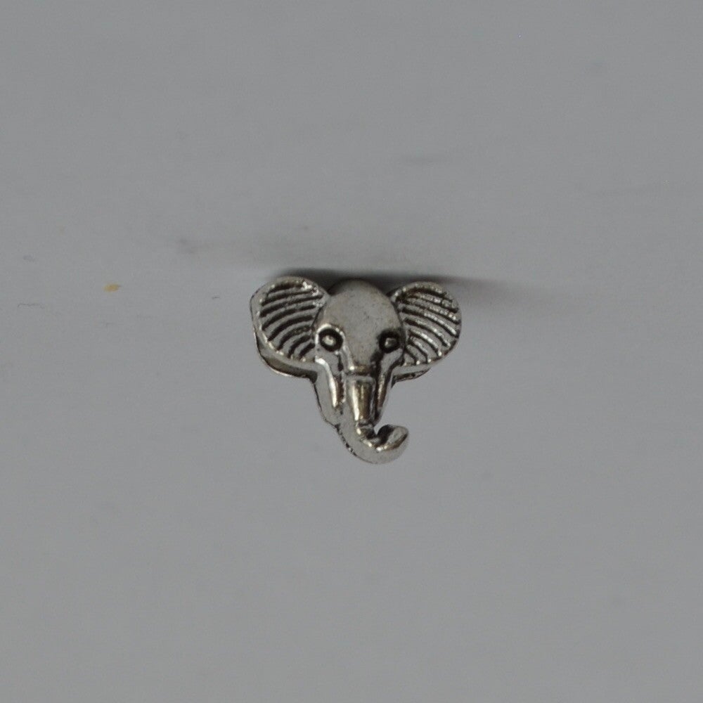 Dier olifant
