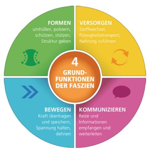 Grundfunktionen des Fazientrainings