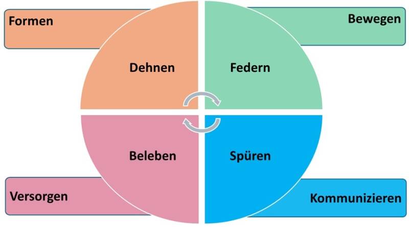 Grundfunktionen der Faszien