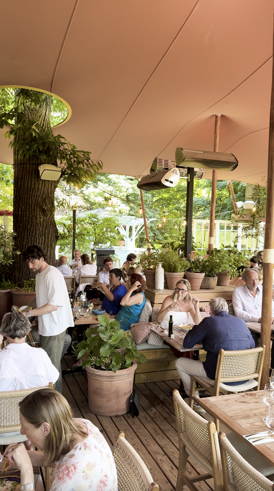 Custom stretchtent met uitsnijden rondom boom en terras onder de tent