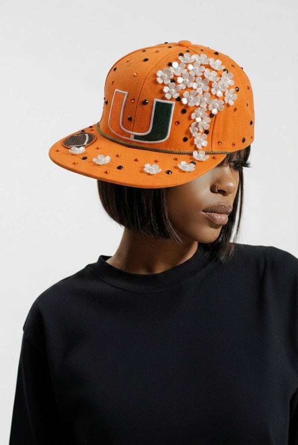 HBCU Model