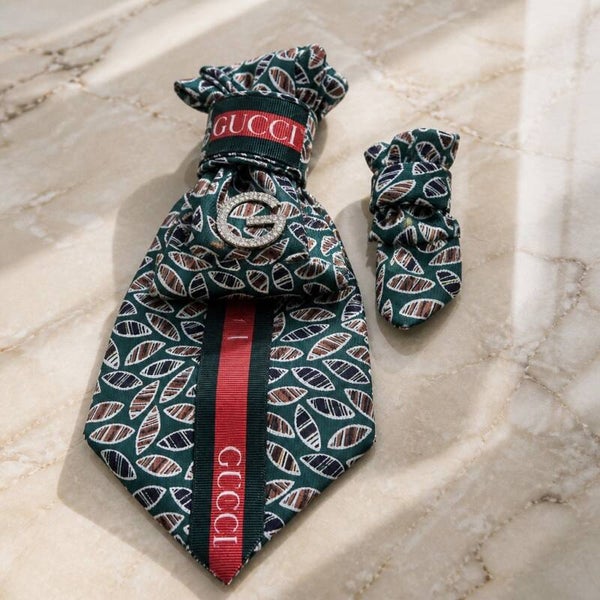Short Necklace Tie and Lapel pin