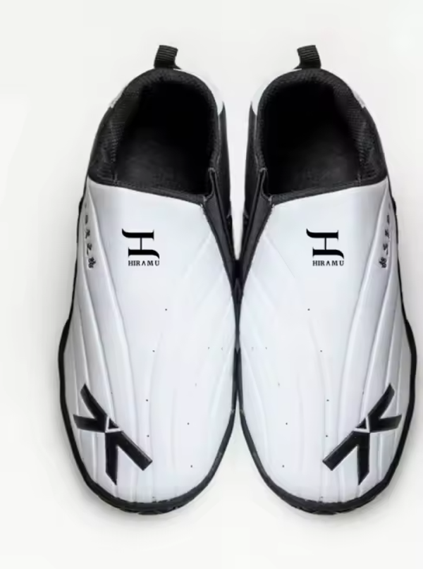 Taekwondo schoenen