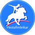 hestafimleikar.is