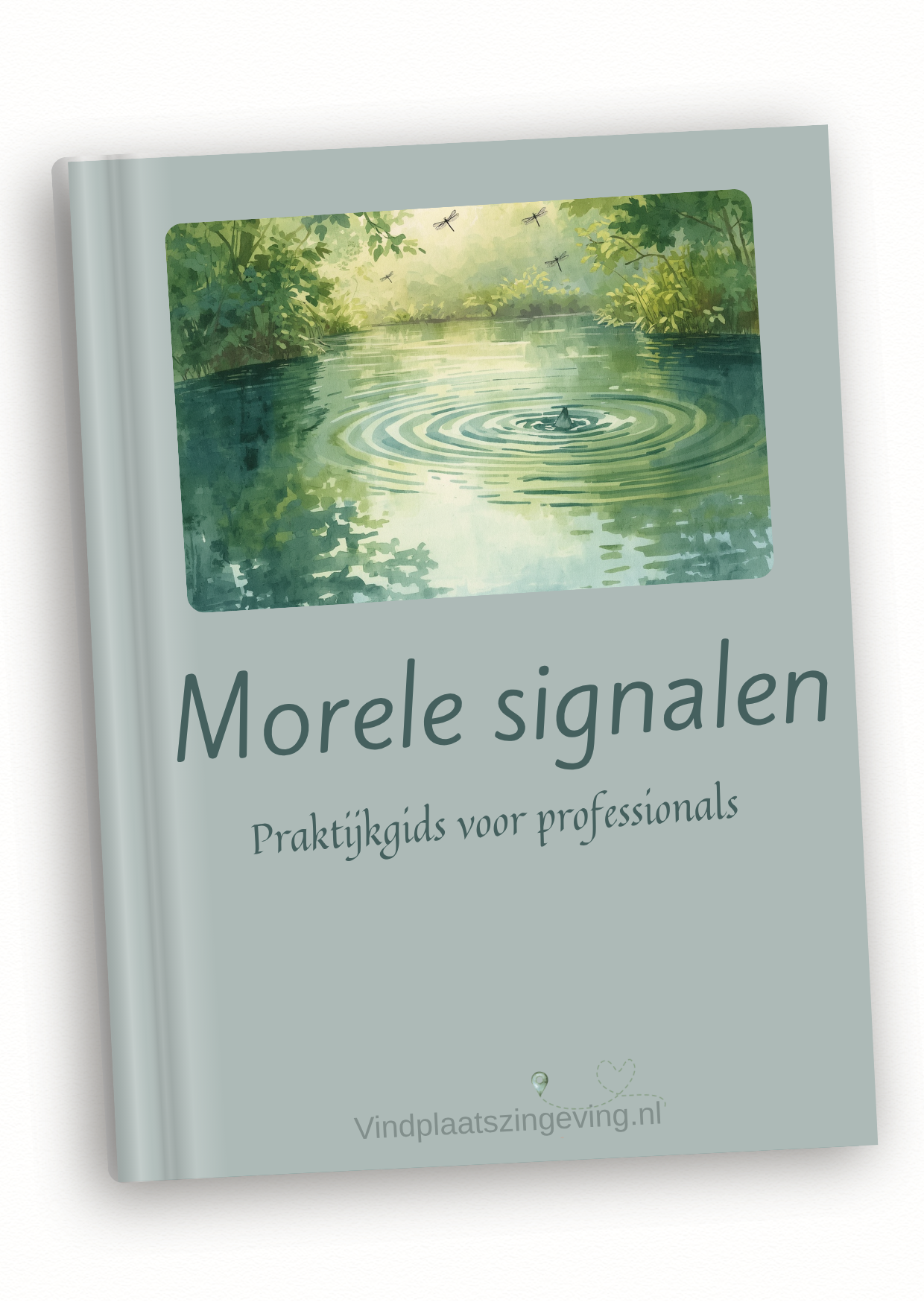 Morele signalen praktijkgids