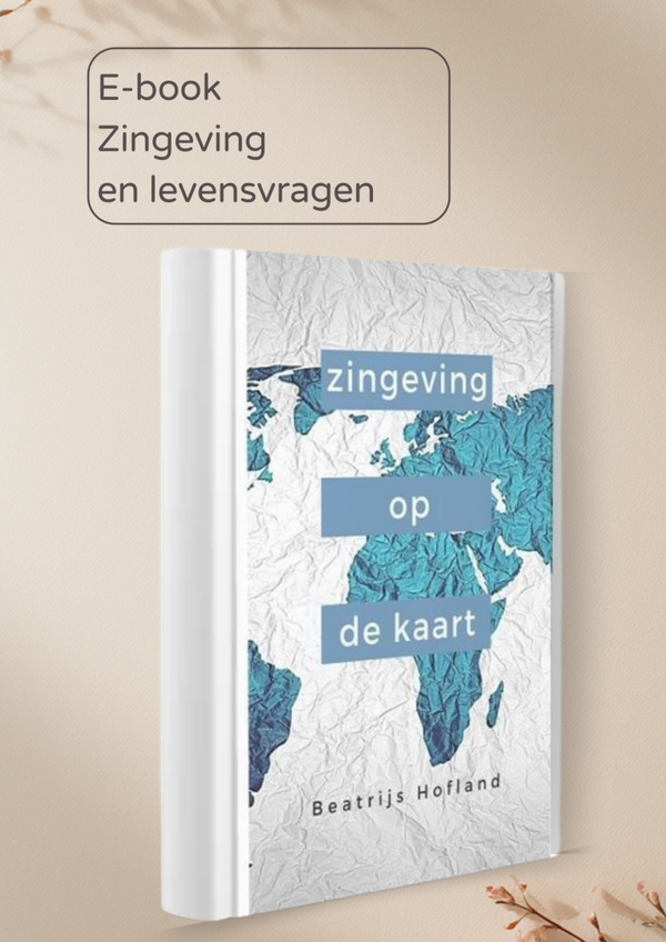 Zingeving op de kaart e-book
