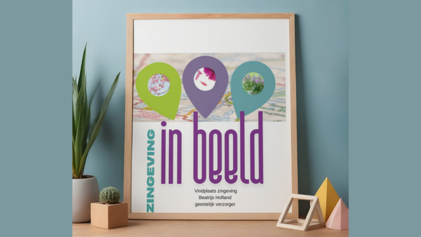 Zingeving in beeld trainerstool