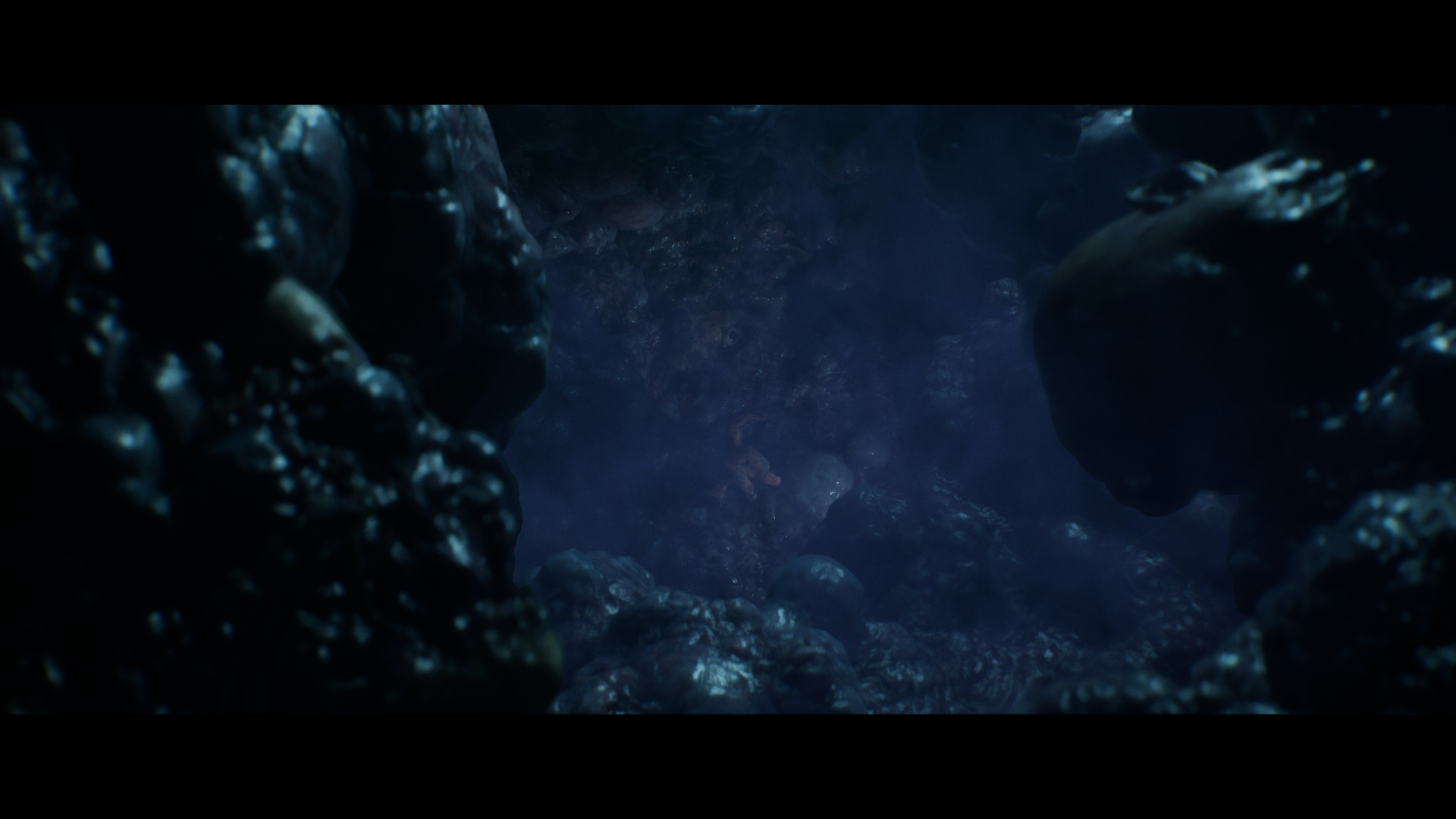 capture-d-cran-1429-standard.png