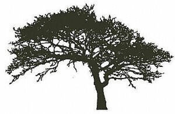 Encaustic Stempel Eik nr.29