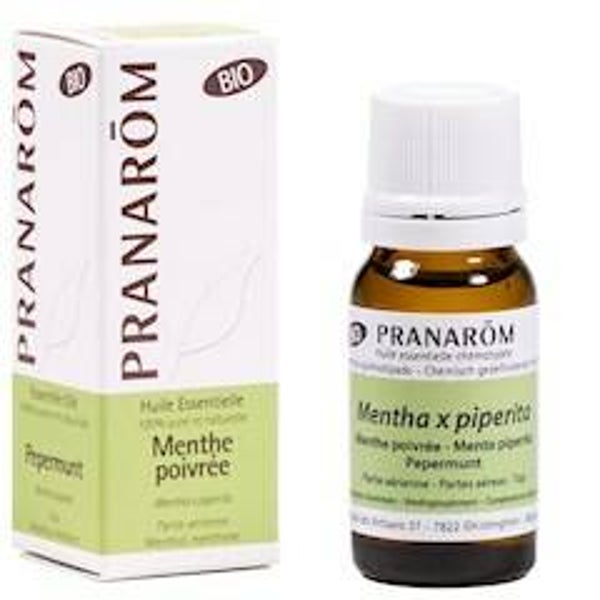 Etherische olie Pepermunt Pranarom BIO 10 ml
