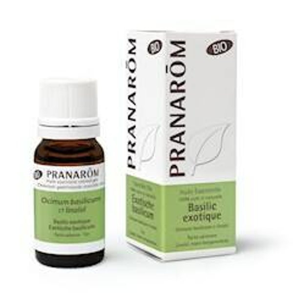 Etherische olie Exotische basilicum Pranarom BIO 10 ml