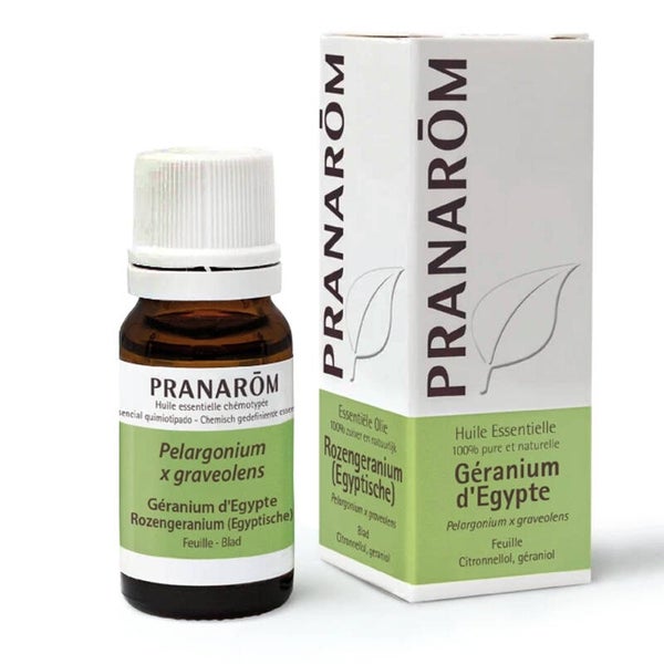 Etherische olie Rozengeranium (Egyptische) Pranarom 10 ml