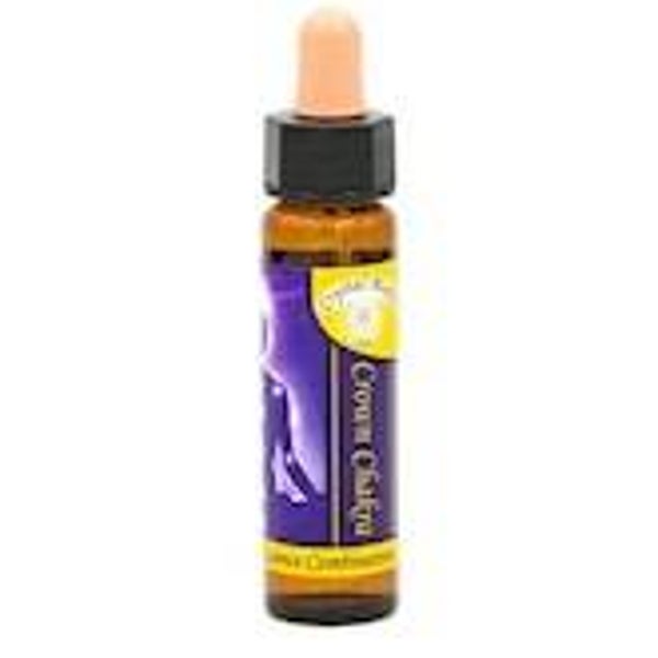 Kruinchakra, Chakra Essence 10 ml