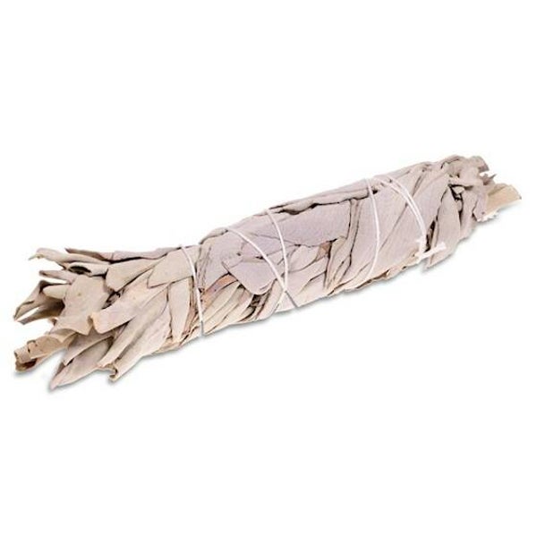 Witte Salie Smudge S  (10 cm)